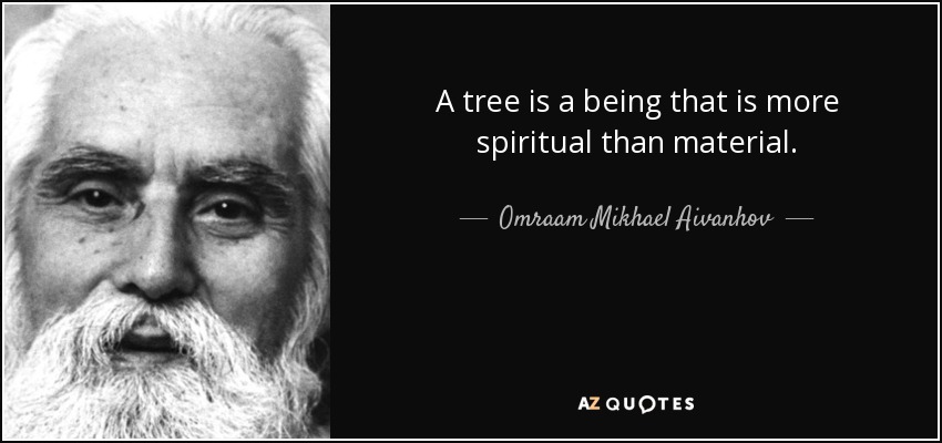 A tree is a being that is more spiritual than material. - Omraam Mikhael Aivanhov