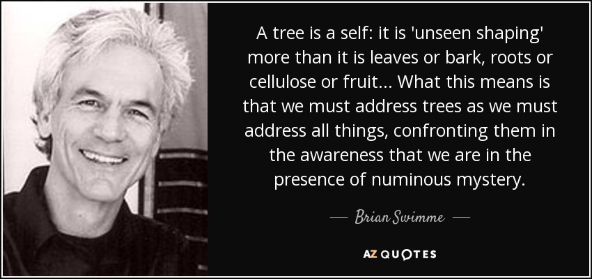 A tree is a self: it is 'unseen shaping' more than it is leaves or bark, roots or cellulose or fruit ... What this means is that we must address trees as we must address all things, confronting them in the awareness that we are in the presence of numinous mystery. - Brian Swimme