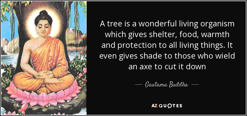A tree is a wonderful living organism which gives shelter, food, warmth and protection to all living things. It even gives shade to those who wield an axe to cut it down - Gautama Buddha