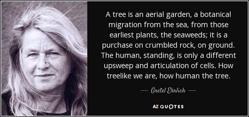 A tree is an aerial garden, a botanical migration from the sea, from those earliest plants, the seaweeds; it is a purchase on crumbled rock, on ground. The human, standing, is only a different upsweep and articulation of cells. How treelike we are, how human the tree. - Gretel Ehrlich