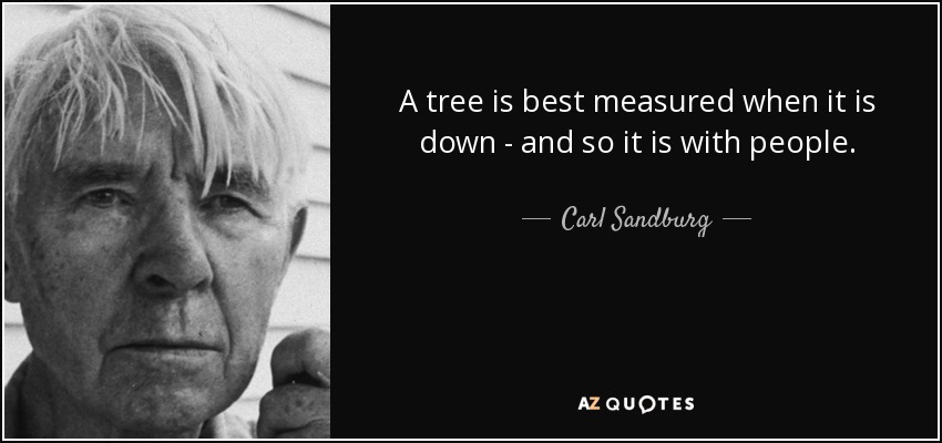 A tree is best measured when it is down - and so it is with people. - Carl Sandburg