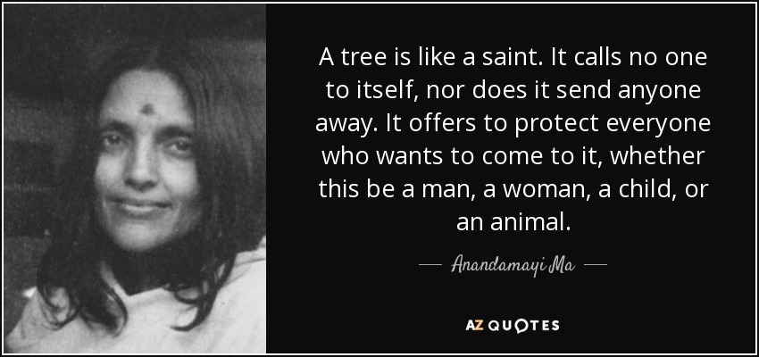 A tree is like a saint. It calls no one to itself, nor does it send anyone away. It offers to protect everyone who wants to come to it, whether this be a man, a woman, a child, or an animal. - Anandamayi Ma