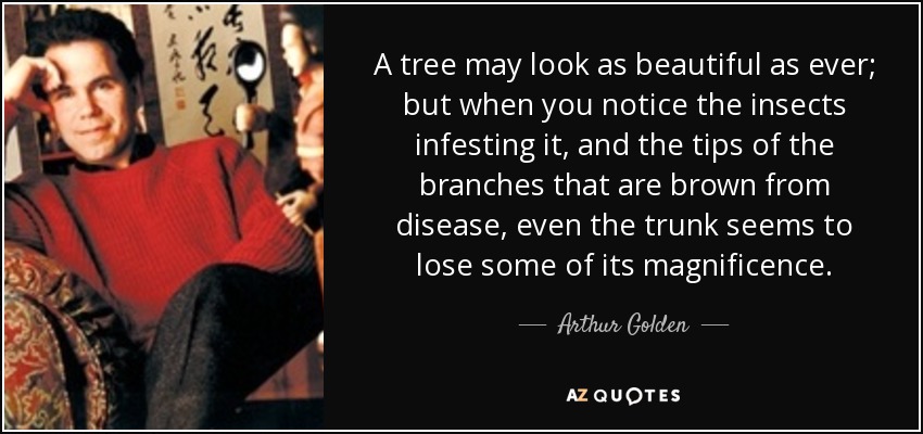 A tree may look as beautiful as ever; but when you notice the insects infesting it, and the tips of the branches that are brown from disease, even the trunk seems to lose some of its magnificence. - Arthur Golden