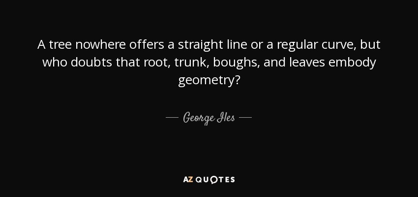 A tree nowhere offers a straight line or a regular curve, but who doubts that root, trunk, boughs, and leaves embody geometry? - George Iles