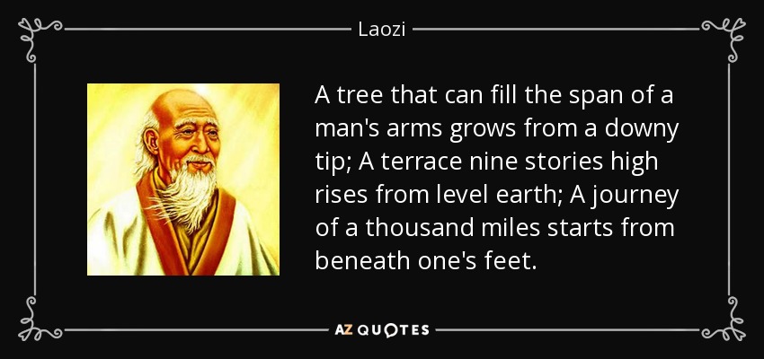 A tree that can fill the span of a man's arms grows from a downy tip; A terrace nine stories high rises from level earth; A journey of a thousand miles starts from beneath one's feet. - Laozi