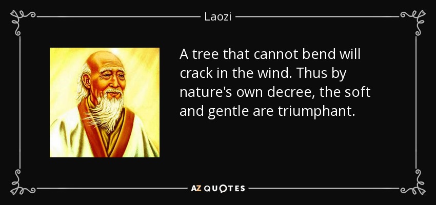 A tree that cannot bend will crack in the wind. Thus by nature's own decree, the soft and gentle are triumphant. - Laozi