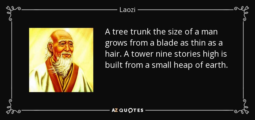 A tree trunk the size of a man grows from a blade as thin as a hair. A tower nine stories high is built from a small heap of earth. - Laozi