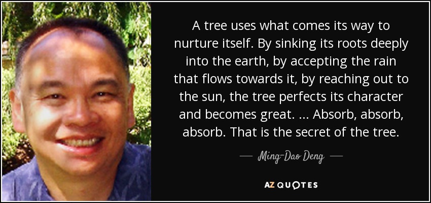 A tree uses what comes its way to nurture itself. By sinking its roots deeply into the earth, by accepting the rain that flows towards it, by reaching out to the sun, the tree perfects its character and becomes great. ... Absorb, absorb, absorb. That is the secret of the tree. - Ming-Dao Deng