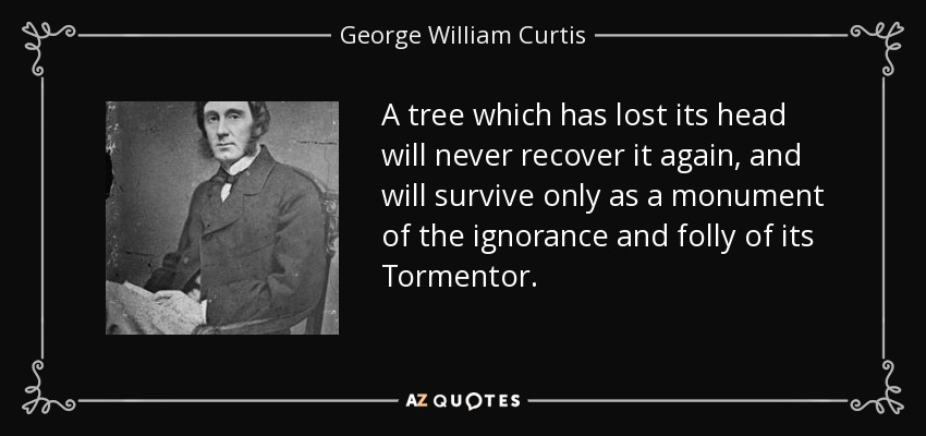 A tree which has lost its head will never recover it again, and will survive only as a monument of the ignorance and folly of its Tormentor. - George William Curtis