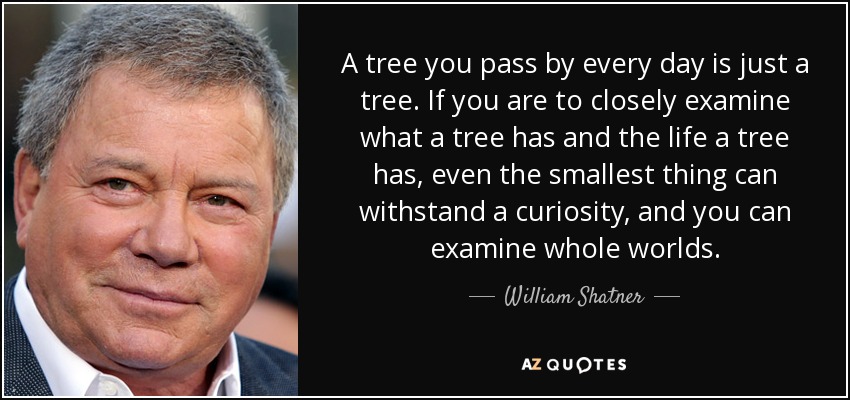 A tree you pass by every day is just a tree. If you are to closely examine what a tree has and the life a tree has, even the smallest thing can withstand a curiosity, and you can examine whole worlds. - William Shatner