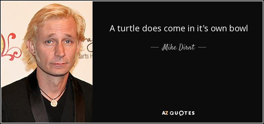 A turtle does come in it's own bowl - Mike Dirnt