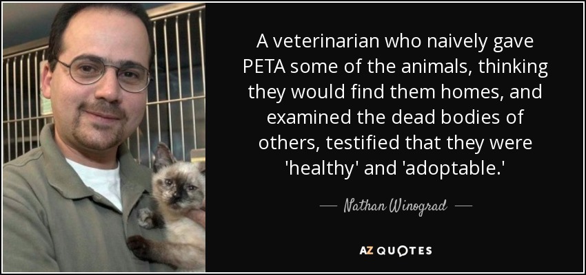 A veterinarian who naively gave PETA some of the animals, thinking they would find them homes, and examined the dead bodies of others, testified that they were 'healthy' and 'adoptable.' - Nathan Winograd