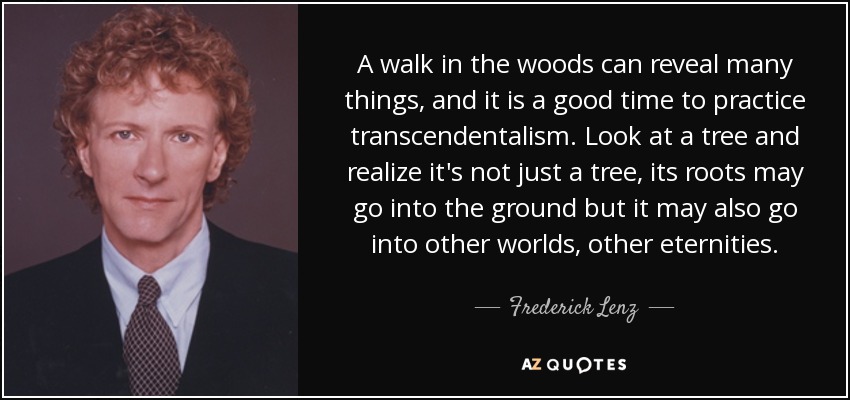 A walk in the woods can reveal many things, and it is a good time to practice transcendentalism. Look at a tree and realize it's not just a tree, its roots may go into the ground but it may also go into other worlds, other eternities. - Frederick Lenz