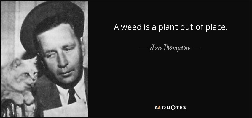 A weed is a plant out of place. - Jim Thompson