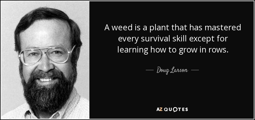 A weed is a plant that has mastered every survival skill except for learning how to grow in rows. - Doug Larson