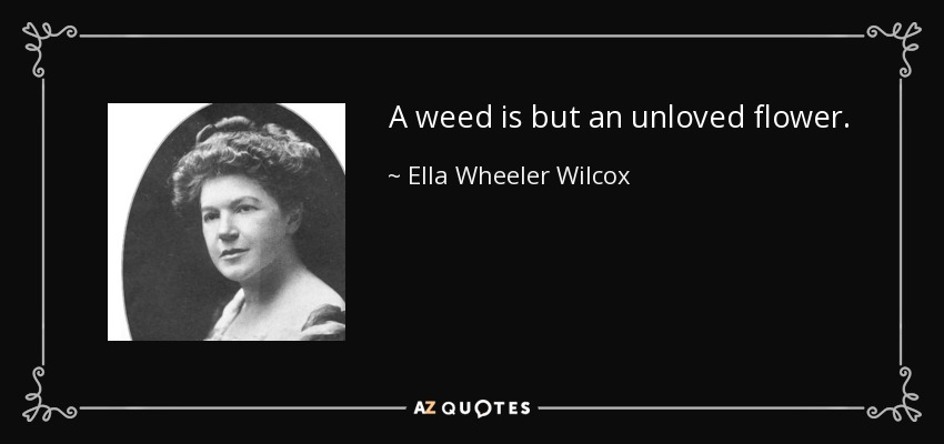 A weed is but an unloved flower. - Ella Wheeler Wilcox