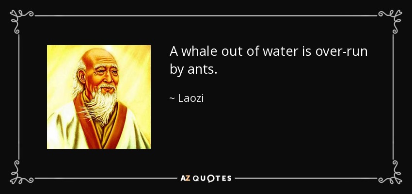 A whale out of water is over-run by ants. - Laozi