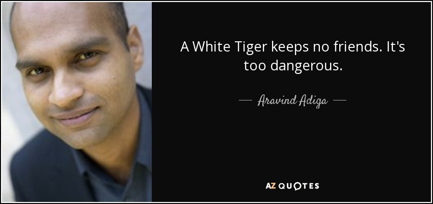 A White Tiger keeps no friends. It's too dangerous. - Aravind Adiga