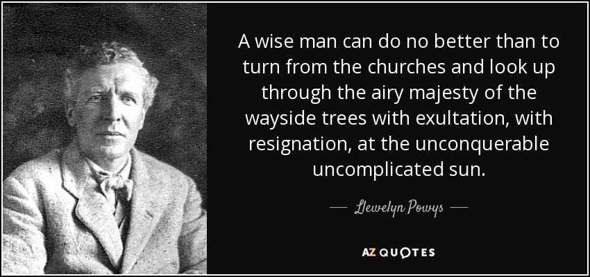 A wise man can do no better than to turn from the churches and look up through the airy majesty of the wayside trees with exultation, with resignation, at the unconquerable uncomplicated sun. - Llewelyn Powys