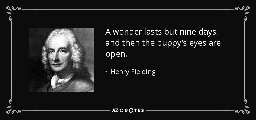 A wonder lasts but nine days, and then the puppy's eyes are open. - Henry Fielding