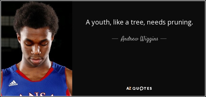 A youth, like a tree, needs pruning. - Andrew Wiggins