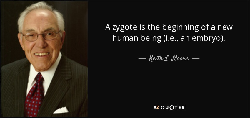A zygote is the beginning of a new human being (i.e., an embryo). - Keith L. Moore