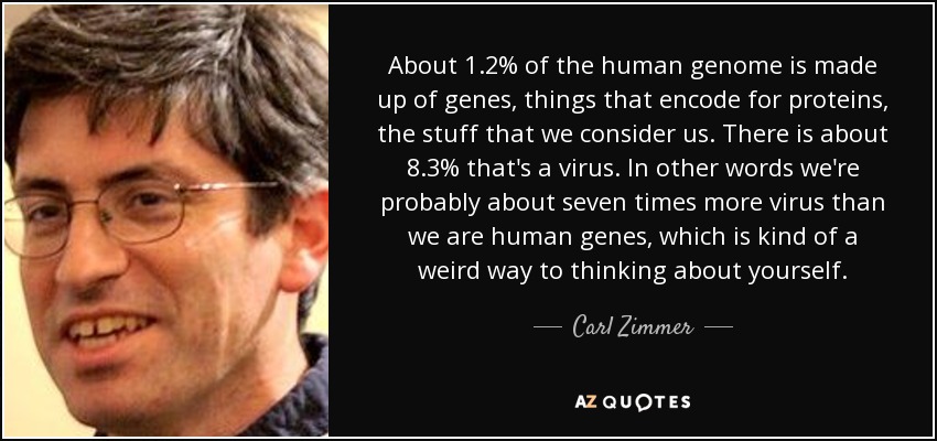 About 1.2% of the human genome is made up of genes, things that encode for proteins, the stuff that we consider us. There is about 8.3% that's a virus. In other words we're probably about seven times more virus than we are human genes, which is kind of a weird way to thinking about yourself. - Carl Zimmer