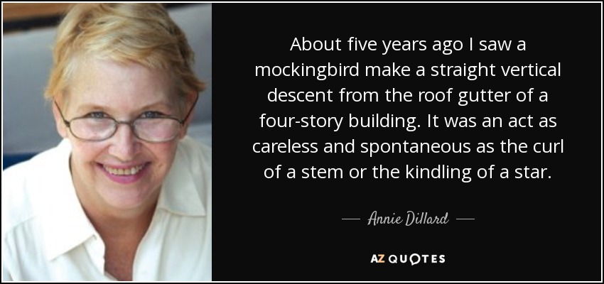 About five years ago I saw a mockingbird make a straight vertical descent from the roof gutter of a four-story building. It was an act as careless and spontaneous as the curl of a stem or the kindling of a star. - Annie Dillard