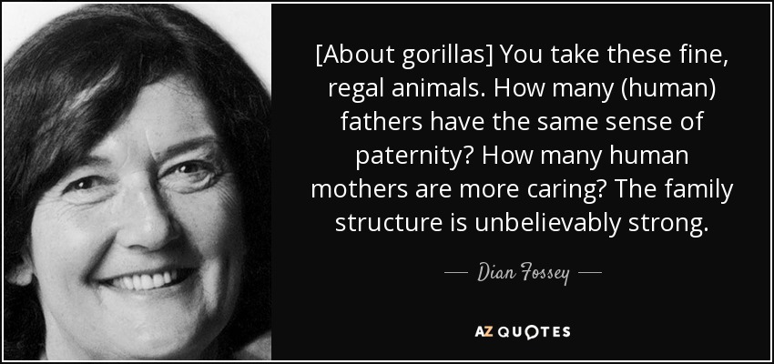 [About gorillas] You take these fine, regal animals. How many (human) fathers have the same sense of paternity? How many human mothers are more caring? The family structure is unbelievably strong. - Dian Fossey
