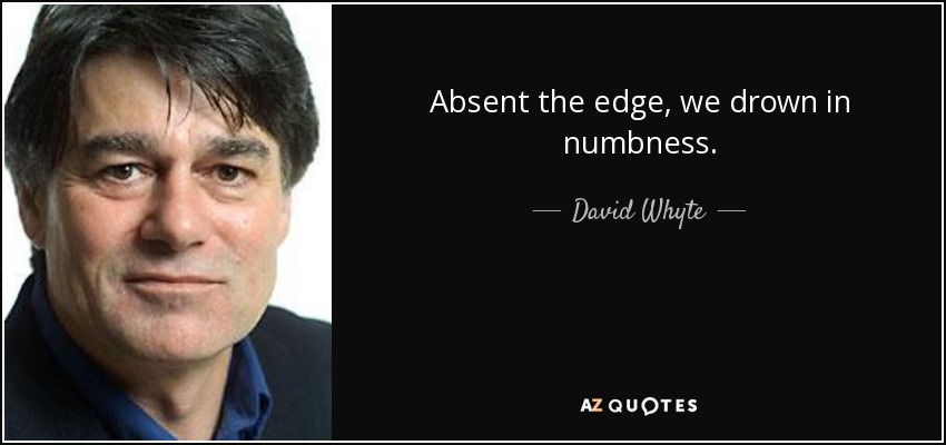 Absent the edge, we drown in numbness. - David Whyte