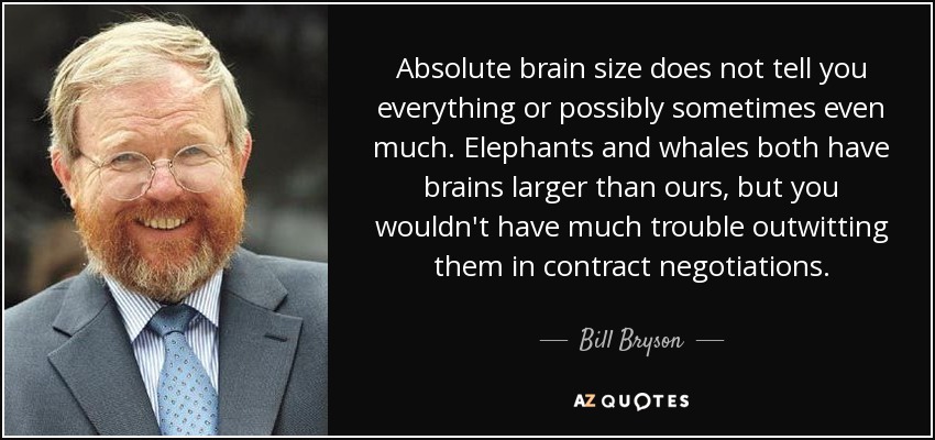 Absolute brain size does not tell you everything or possibly sometimes even much. Elephants and whales both have brains larger than ours, but you wouldn't have much trouble outwitting them in contract negotiations. - Bill Bryson