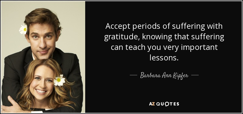 Accept periods of suffering with gratitude, knowing that suffering can teach you very important lessons. - Barbara Ann Kipfer