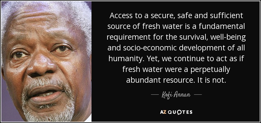 Access to a secure, safe and sufficient source of fresh water is a fundamental requirement for the survival, well-being and socio-economic development of all humanity. Yet, we continue to act as if fresh water were a perpetually abundant resource. It is not. - Kofi Annan
