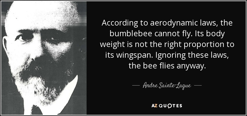 According to aerodynamic laws, the bumblebee cannot fly. Its body weight is not the right proportion to its wingspan. Ignoring these laws, the bee flies anyway. - Andre Sainte-Lague