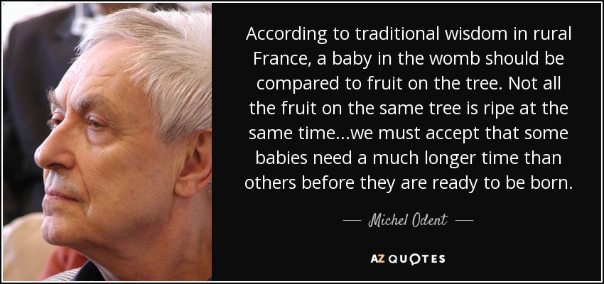 According to traditional wisdom in rural France, a baby in the womb should be compared to fruit on the tree. Not all the fruit on the same tree is ripe at the same time...we must accept that some babies need a much longer time than others before they are ready to be born. - Michel Odent