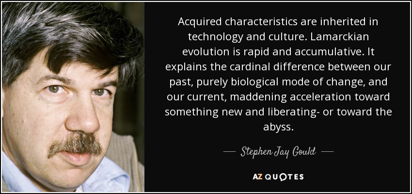 Acquired characteristics are inherited in technology and culture. Lamarckian evolution is rapid and accumulative. It explains the cardinal difference between our past, purely biological mode of change, and our current, maddening acceleration toward something new and liberating- or toward the abyss. - Stephen Jay Gould
