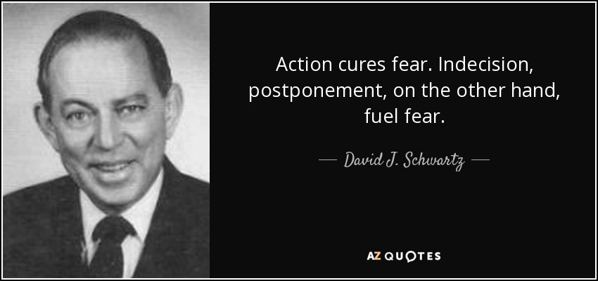 Action cures fear. Indecision, postponement, on the other hand, fuel fear. - David J. Schwartz