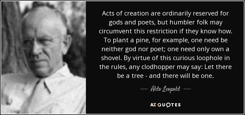 Acts of creation are ordinarily reserved for gods and poets, but humbler folk may circumvent this restriction if they know how. To plant a pine, for example, one need be neither god nor poet; one need only own a shovel. By virtue of this curious loophole in the rules, any clodhopper may say: Let there be a tree - and there will be one. - Aldo Leopold