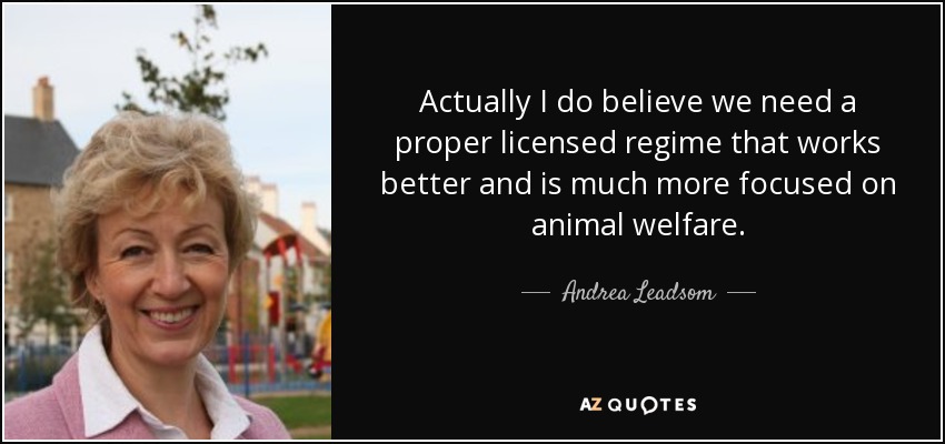 Actually I do believe we need a proper licensed regime that works better and is much more focused on animal welfare. - Andrea Leadsom
