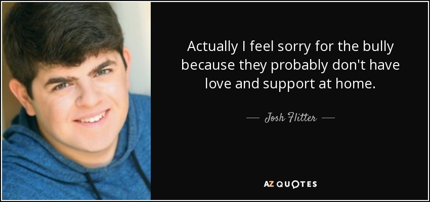 Actually I feel sorry for the bully because they probably don't have love and support at home. - Josh Flitter