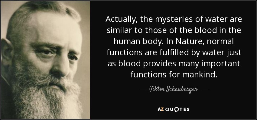 Actually, the mysteries of water are similar to those of the blood in the human body. In Nature, normal functions are fulfilled by water just as blood provides many important functions for mankind. - Viktor Schauberger