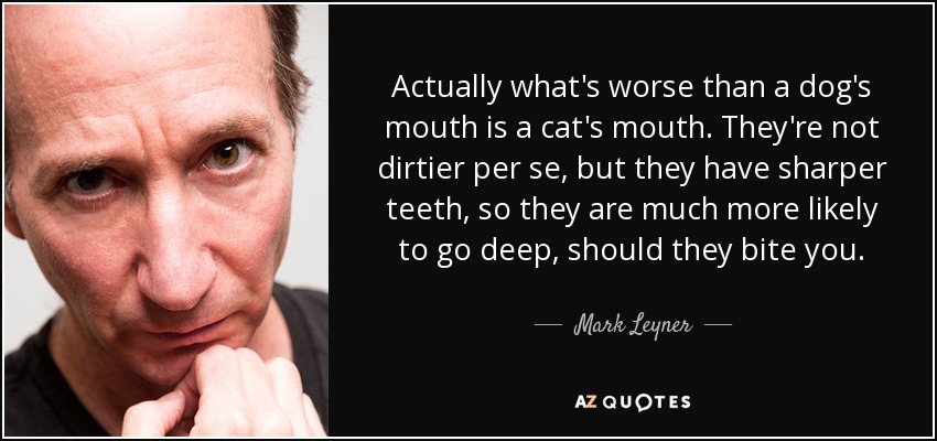 Actually what's worse than a dog's mouth is a cat's mouth. They're not dirtier per se, but they have sharper teeth, so they are much more likely to go deep, should they bite you. - Mark Leyner