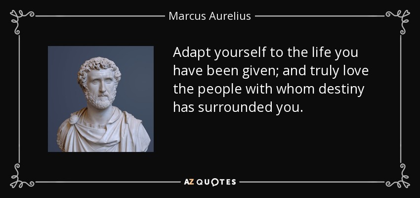Adapt yourself to the life you have been given; and truly love the people with whom destiny has surrounded you. - Marcus Aurelius