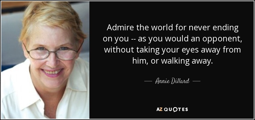 Admire the world for never ending on you -- as you would an opponent, without taking your eyes away from him, or walking away. - Annie Dillard