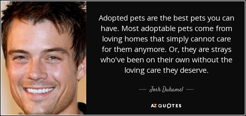 Adopted pets are the best pets you can have. Most adoptable pets come from loving homes that simply cannot care for them anymore. Or, they are strays who've been on their own without the loving care they deserve. - Josh Duhamel