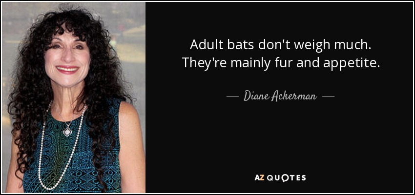 Adult bats don't weigh much. They're mainly fur and appetite. - Diane Ackerman