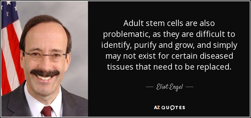 Adult stem cells are also problematic, as they are difficult to identify, purify and grow, and simply may not exist for certain diseased tissues that need to be replaced. - Eliot Engel