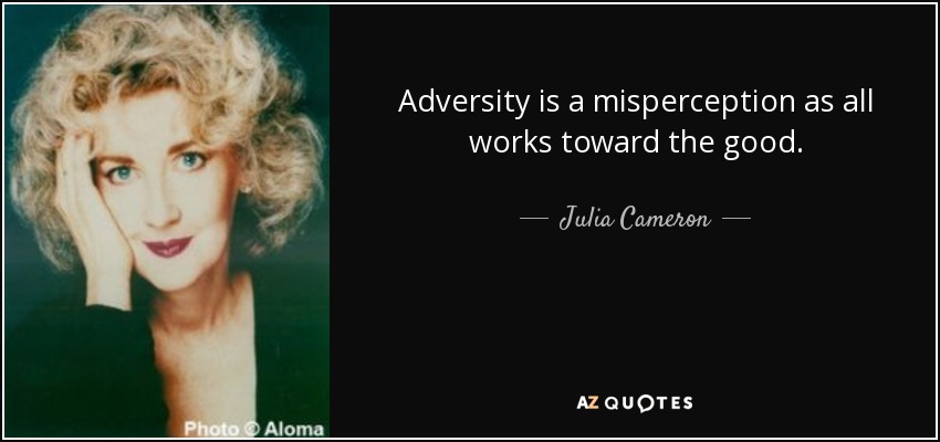 Adversity is a misperception as all works toward the good. - Julia Cameron