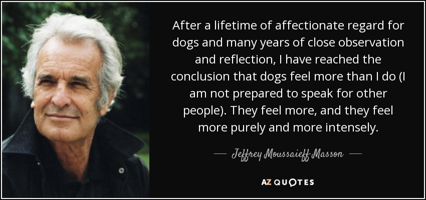 After a lifetime of affectionate regard for dogs and many years of close observation and reflection, I have reached the conclusion that dogs feel more than I do (I am not prepared to speak for other people). They feel more, and they feel more purely and more intensely. - Jeffrey Moussaieff Masson