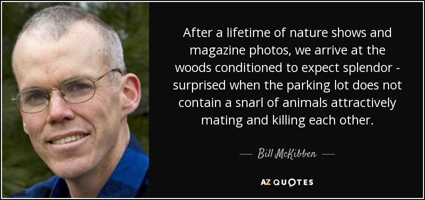 After a lifetime of nature shows and magazine photos, we arrive at the woods conditioned to expect splendor - surprised when the parking lot does not contain a snarl of animals attractively mating and killing each other. - Bill McKibben